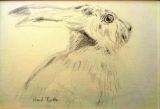01 - Wendy Briton 'Away Hare' Graphite.JPG